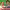 https://res.cloudinary.com/billionhands/image/upload/v1770017259/items/byedyc4ay4otteet7bnx.jpg-0cover