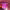 https://res.cloudinary.com/billionhands/image/upload/v1770017271/items/grffnsptspr1qhgswp3h.jpg-0cover
