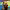 https://res.cloudinary.com/billionhands/image/upload/v1770017271/items/lcswd7lzguw3psjewqn5.jpg-1cover
