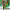 https://res.cloudinary.com/billionhands/image/upload/v1770017275/items/ydnhy8aenettdjdvpu0v.jpg-1cover