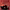 https://res.cloudinary.com/billionhands/image/upload/v1770017289/items/htvsldrzsixyyrmacwg0.gif-2cover