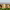 Granada Day Trip (with a visit to the Alhambra) cover
