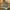 https://res.cloudinary.com/billionhands/image/upload/v1770017305/items/yztnliz3qy2dvy9ra1pm.jpg-2cover