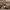 https://res.cloudinary.com/billionhands/image/upload/v1770017306/items/jo6o4axrliij2wtthwdf.jpg-2cover
