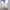 https://res.cloudinary.com/billionhands/image/upload/v1770017311/items/wuzwcjdanl3vj3efylzb.jpg-1cover