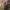 https://res.cloudinary.com/billionhands/image/upload/v1770017418/items/fx7avsy3aqmwtvvvuxma.jpg-3cover