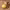 https://res.cloudinary.com/billionhands/image/upload/v1770027839/items/tcvtpchqb8m1cxrtrqpq.webp-2cover