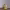 https://res.cloudinary.com/billionhands/image/upload/v1770027841/items/n5uvznpp7v0ln8bpcceq.jpg-0cover