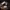 https://res.cloudinary.com/billionhands/image/upload/v1770027844/items/fx2ftowrrl1jmzdhrssb.jpg-3cover