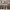 https://res.cloudinary.com/billionhands/image/upload/v1770056585/items/zrzrioqvtj6zyo9tbkwk.jpg-1cover