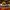 https://res.cloudinary.com/billionhands/image/upload/v1770056620/items/ms9xlgmohkpswkfgfwzn.jpg-3cover