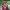 https://res.cloudinary.com/billionhands/image/upload/v1770056620/items/qtxcckoik2fjxal8gwha.webp-2cover