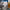 https://res.cloudinary.com/billionhands/image/upload/v1770056682/items/ifhlcmf5wvom1hmhwt5t.jpg-2cover