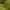 https://res.cloudinary.com/billionhands/image/upload/v1770056706/items/grsjzunokyogegepuk3b.jpg-3cover