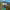 https://res.cloudinary.com/billionhands/image/upload/v1770056714/items/fesmv0a3rtszbc908gzr.jpg-3cover