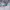 https://res.cloudinary.com/billionhands/image/upload/v1770056717/items/h37sjkafznejs73bx8vx.webp-0cover