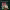 https://res.cloudinary.com/billionhands/image/upload/v1770056775/items/v4typa4la19jttdmwrsb.jpg-1cover