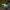 https://res.cloudinary.com/billionhands/image/upload/v1770056779/items/tuzlpgpnfjcryhuoyv4s.jpg-1cover