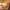 https://res.cloudinary.com/billionhands/image/upload/v1770056784/items/hjt5zfxn2jth4cz4lhvz.jpg-1cover