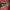 https://res.cloudinary.com/billionhands/image/upload/v1770056785/items/bsevaoeifpybwsuffvg8.jpg-3cover