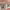 https://res.cloudinary.com/billionhands/image/upload/v1770056812/items/kspcg4tk6fydvgxumxhx.webp-0cover