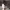 https://res.cloudinary.com/billionhands/image/upload/v1770056817/items/kvanpjnlmvetmbi2jstx.jpg-2cover