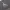 https://res.cloudinary.com/billionhands/image/upload/v1770056845/items/o0fjcddge0kzjngtdayp.jpg-0cover