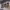 https://res.cloudinary.com/billionhands/image/upload/v1770056867/items/qjig6hpyezsykbyrfnsl.webp-0cover