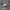https://res.cloudinary.com/billionhands/image/upload/v1770056884/items/mg4wed9lvwtjdnkfrcaz.png-3cover