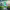 https://res.cloudinary.com/billionhands/image/upload/v1770056904/items/qsz5h04ovabw6acsx5ey.jpg-1cover
