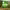 https://res.cloudinary.com/billionhands/image/upload/v1770056910/items/nobcrduc837rgyukgcad.jpg-2cover