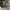 https://res.cloudinary.com/billionhands/image/upload/v1770056915/items/mmcknuss41nrpiyikajl.jpg-3cover
