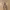https://res.cloudinary.com/billionhands/image/upload/v1770057017/items/uywg2c6bfmqny45hzvkt.jpg-1cover