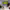https://res.cloudinary.com/billionhands/image/upload/v1770057137/items/xh1qanwcjghlnrdvaxgr.jpg-3cover