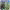 https://res.cloudinary.com/billionhands/image/upload/v1770057146/items/yvd7r8fqezlaassdavvk.png-1cover