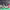 https://res.cloudinary.com/billionhands/image/upload/v1770057220/items/fqxrilwh4ipvbwl4ohxe.jpg-3cover