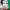 https://res.cloudinary.com/billionhands/image/upload/v1770057339/items/wnyvfkvecvydrdotaiy0.png-2cover