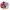 https://res.cloudinary.com/billionhands/image/upload/v1770057365/items/qpenctobtfqtw0lplgaf.png-0cover