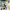 https://res.cloudinary.com/billionhands/image/upload/v1770057416/items/hsckfgzfxka0snch3qsm.jpg-3cover