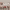 https://res.cloudinary.com/billionhands/image/upload/v1770057498/items/phvyb0zwpsxplhvshylr.webp-2cover