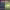 https://res.cloudinary.com/billionhands/image/upload/v1770057500/items/bq4qetibdh5db4wfmuyc.jpg-1cover