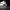 https://res.cloudinary.com/billionhands/image/upload/v1770057521/items/ngm2ytpelqwhkg7mxslj.jpg-1cover