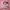 https://res.cloudinary.com/billionhands/image/upload/v1770057523/items/paatmhndmfy7so8hrhdb.jpg-1cover