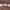 https://res.cloudinary.com/billionhands/image/upload/v1770057629/items/cn1xmh2cmkdfw3pem2qr.jpg-1cover