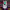 https://res.cloudinary.com/billionhands/image/upload/v1770057776/items/chjr2oubaradoxydxwcy.png-3cover
