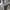 https://res.cloudinary.com/billionhands/image/upload/v1770057854/items/gamvzzejvbs0jfrr2few.jpg-3cover