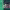 https://res.cloudinary.com/billionhands/image/upload/v1770057887/items/novwzh5vcfznbgdzqlon.png-2cover