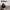 https://res.cloudinary.com/billionhands/image/upload/v1770057899/items/yxyyntgrdb8cqz5bspkw.webp-1cover