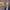 https://res.cloudinary.com/billionhands/image/upload/v1770057973/items/c16xusve1zthfti2bp6m.webp-2cover