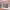 https://res.cloudinary.com/billionhands/image/upload/v1770058163/items/wgbbgcihlrluiyccuiub.webp-0cover
